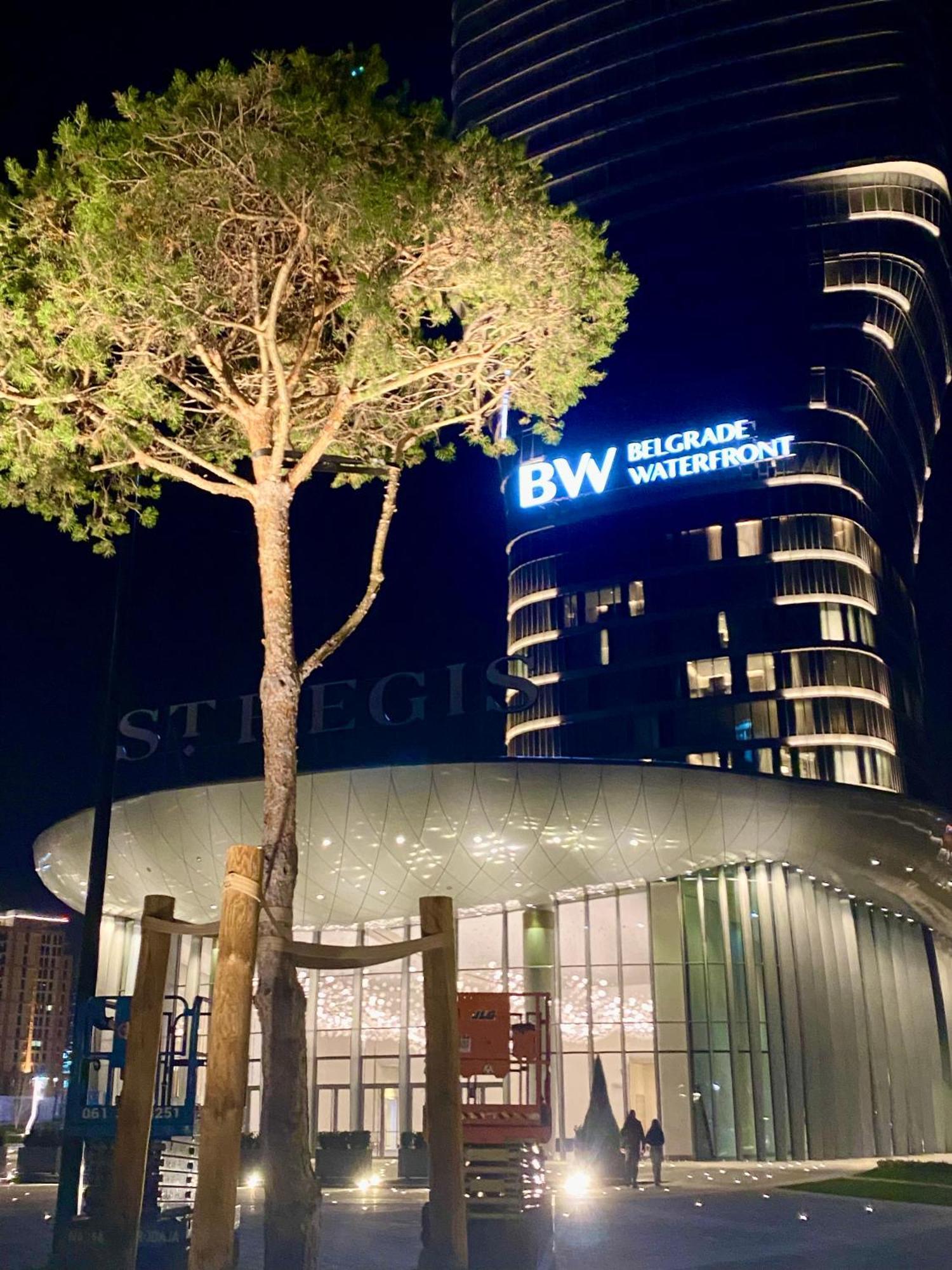 BW Dandy House - Love Tree Belgrado Exterior foto